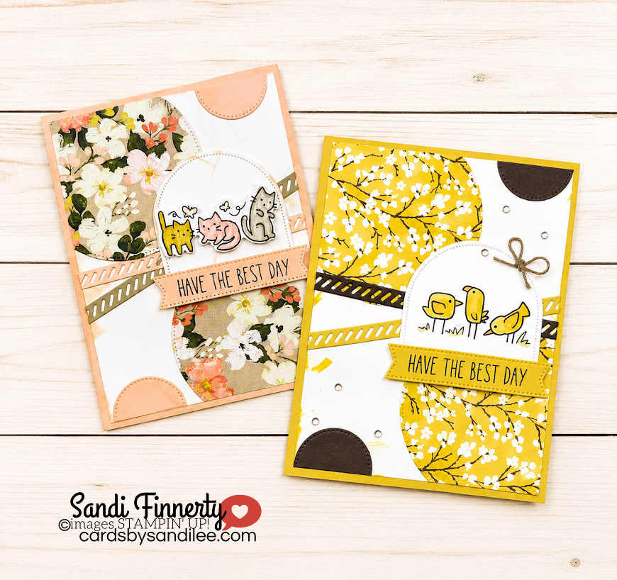 birds and cats from cutest crew bundle